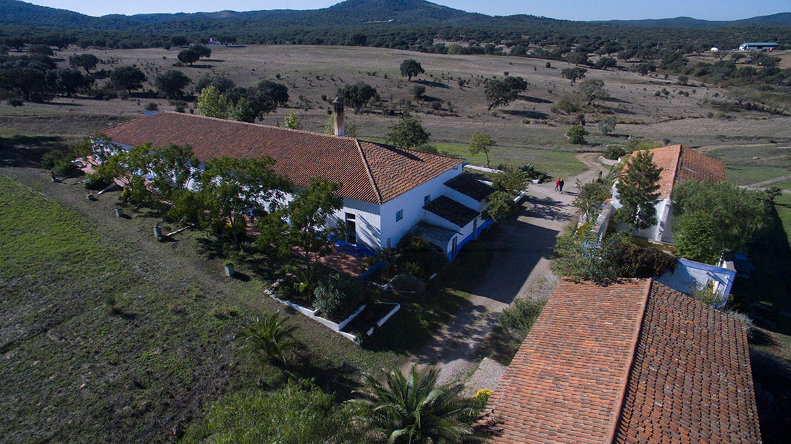 Obras Portugal image 2