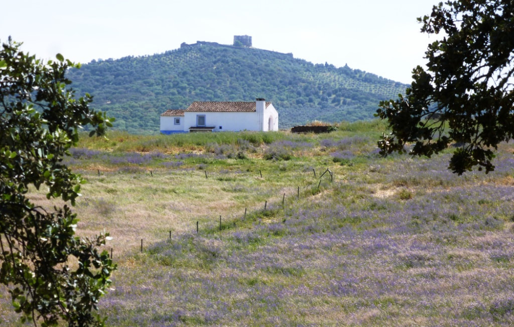 Obras Portugal image 3