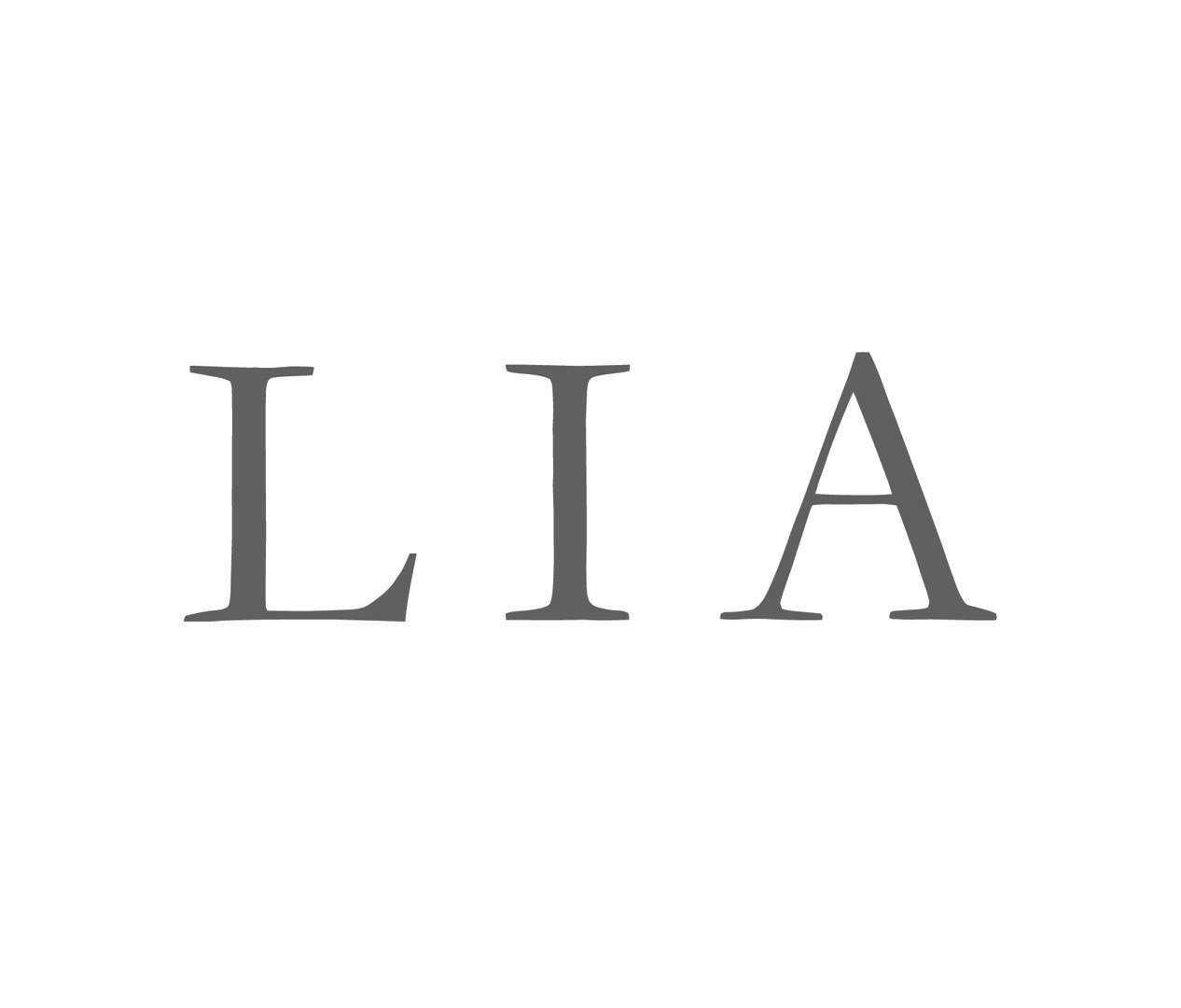 LIA (Leipzig International Art Programme) logo