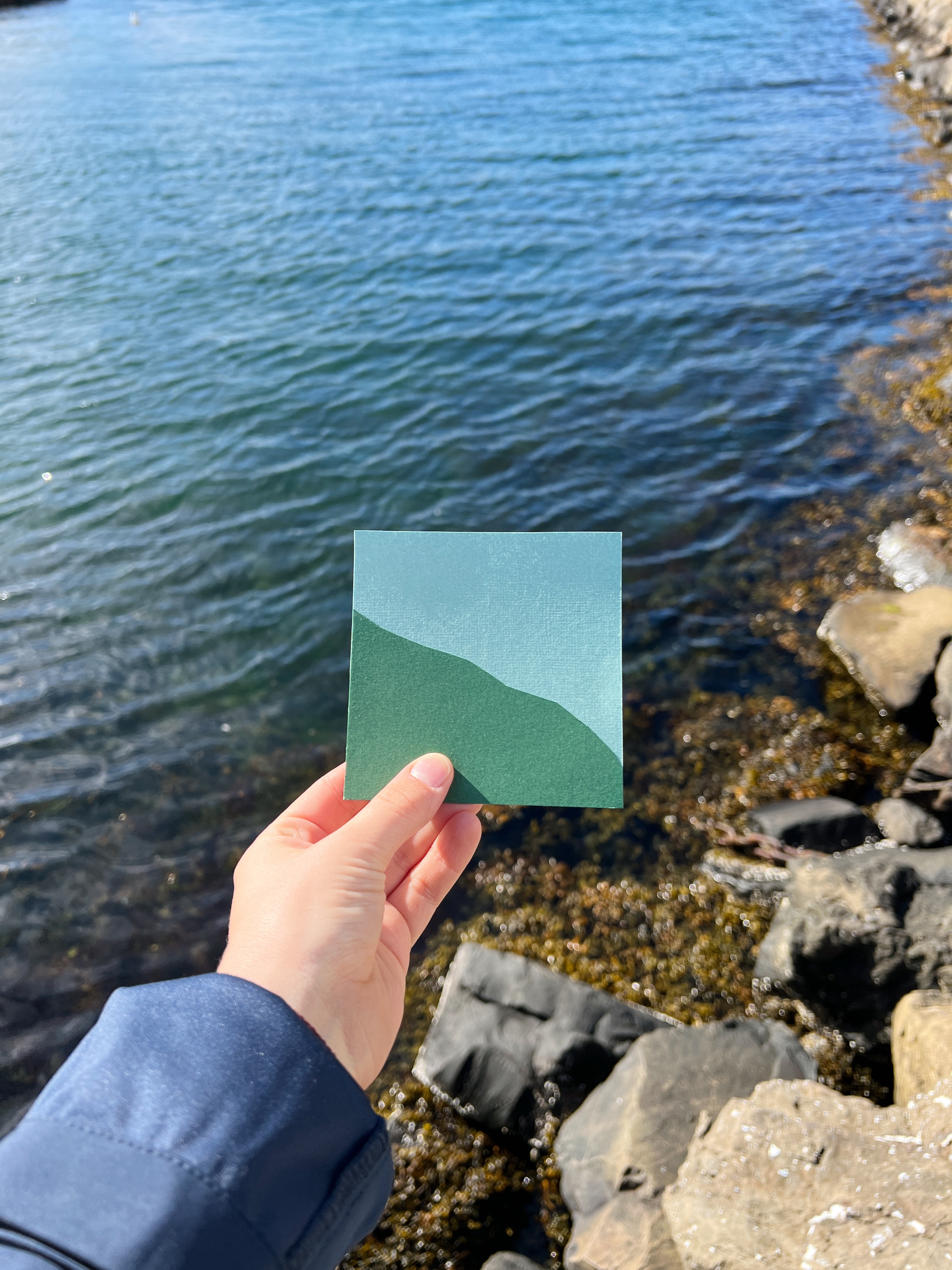 Fish Factory Creative Centre image 3