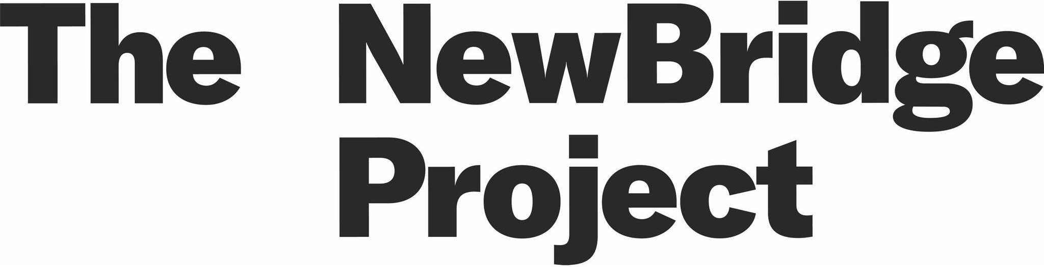 The NewBridge Project logo