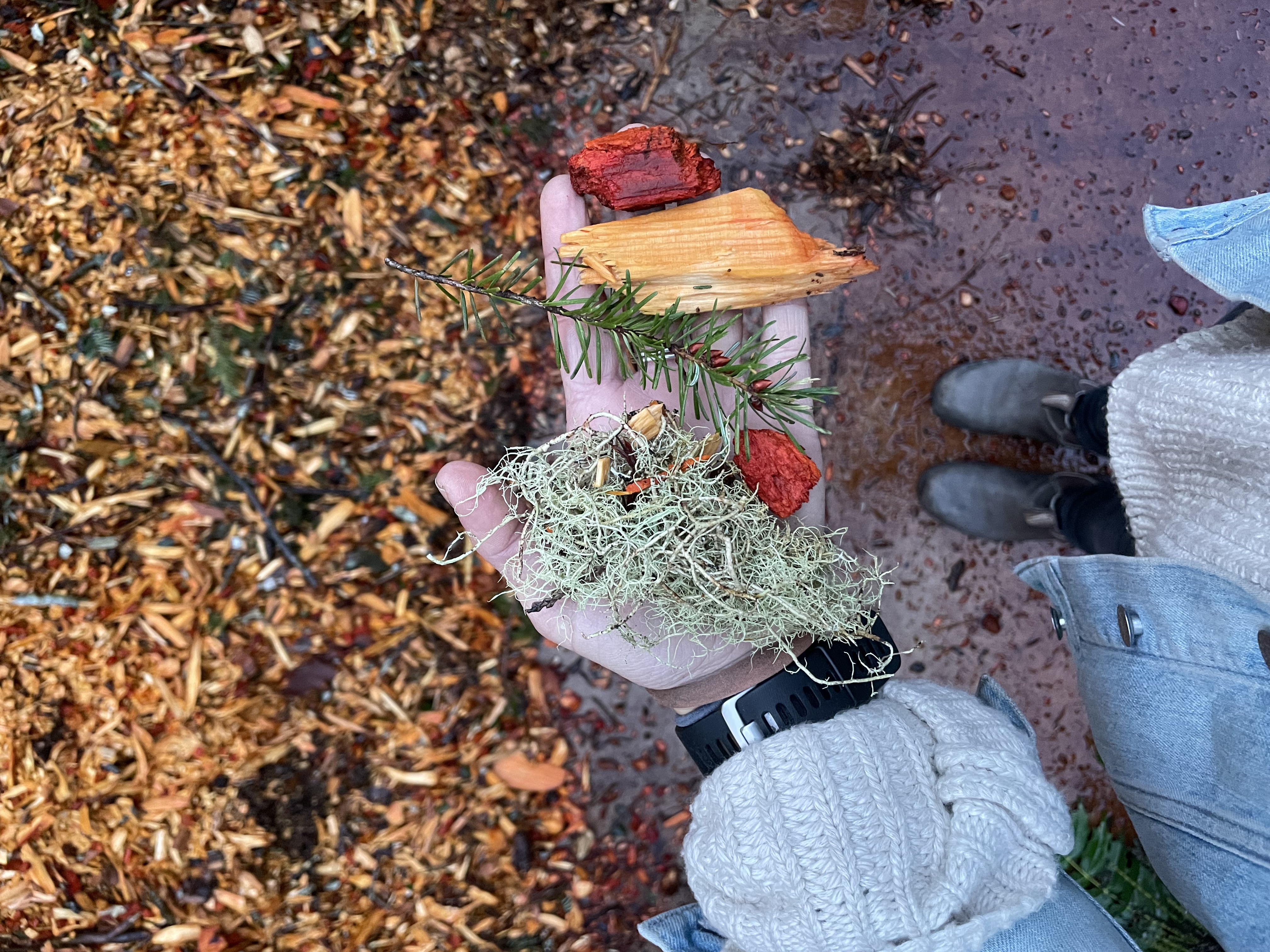 Bloedel Reserve image 1