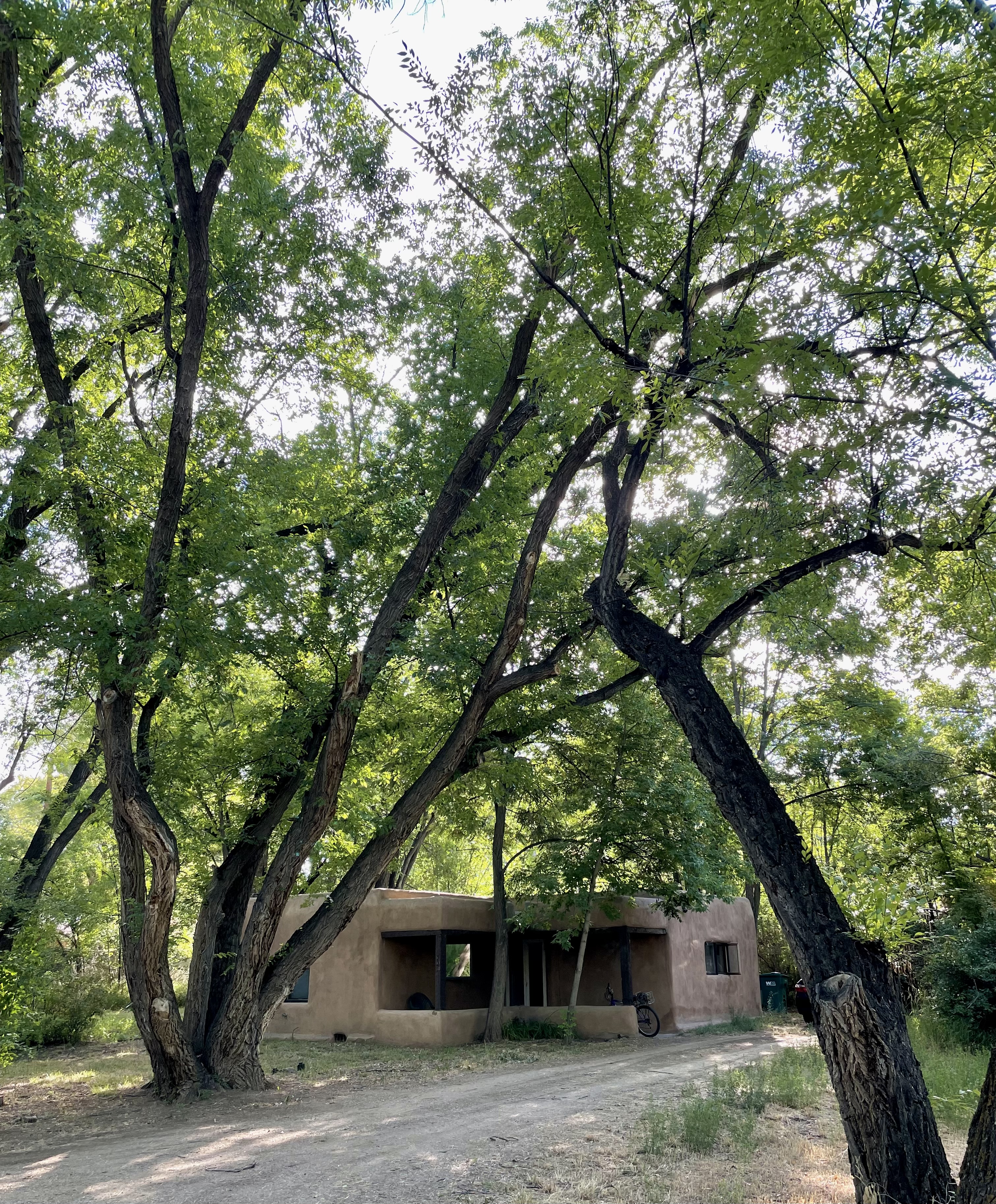 Photo by katrina bello